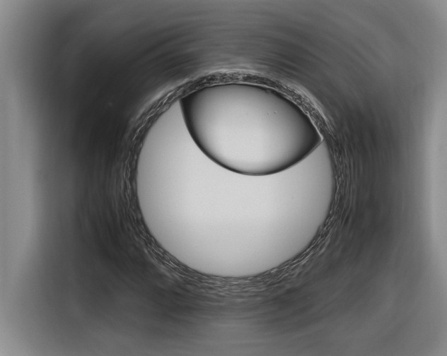 X0000116581064200912101304