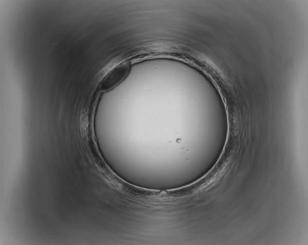 X0000116581065200912101304