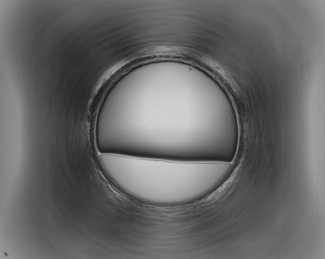 X0000116581066200912101304