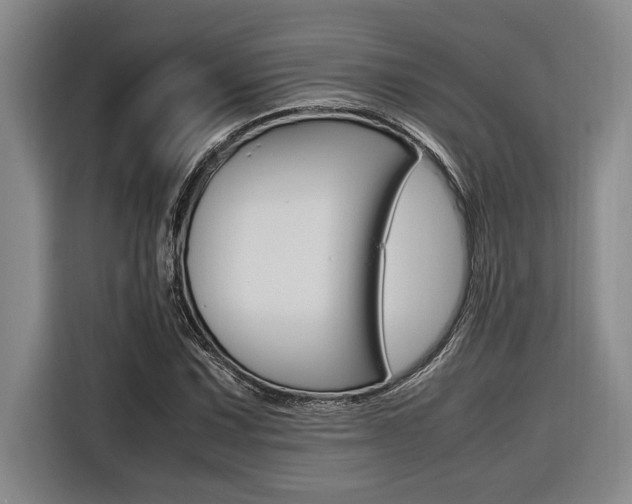 X0000116581067200912101304