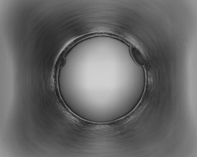 X0000116581068200912101304