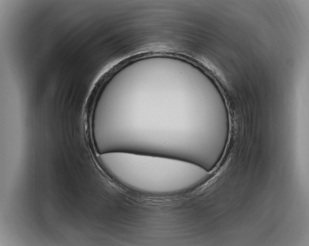 X0000116581070200912101304