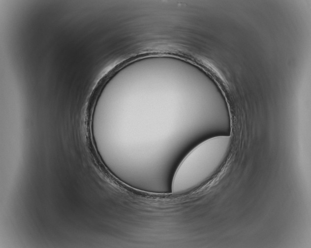 X0000116581071200912101304