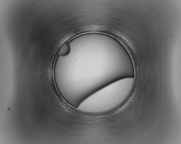 X0000116581073200912101304