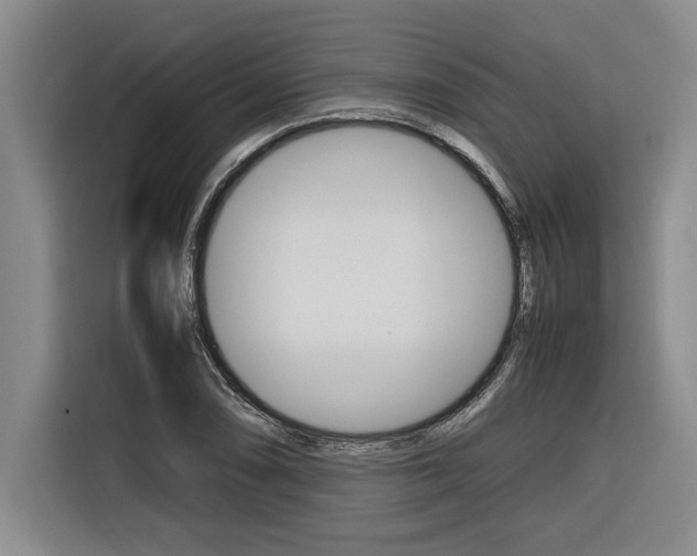 X0000116581074200912101304