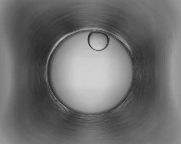 X0000116581076200912101304