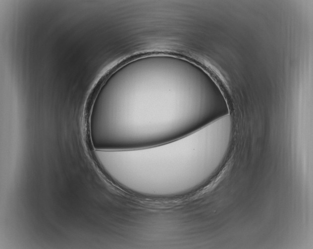 X0000116581077200912101304