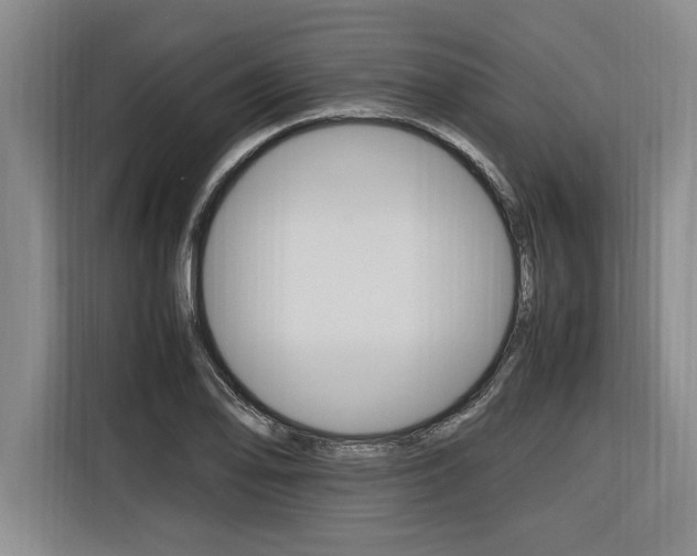 X0000116581078200912101304