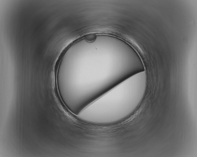 X0000116581079200912101304
