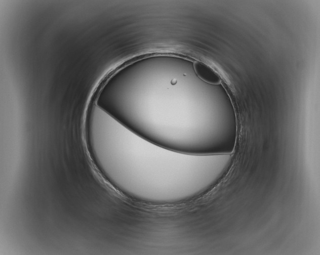 X0000116581080200912101304