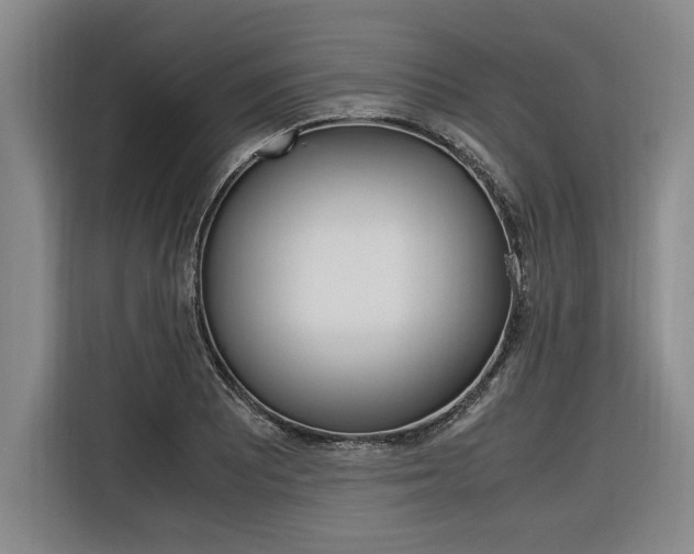 X0000116581081200912101304