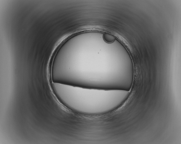 X0000116581082200912101304