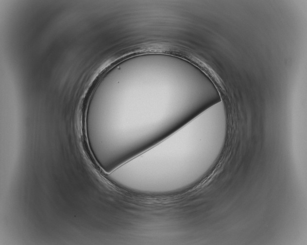 X0000116581083200912101304