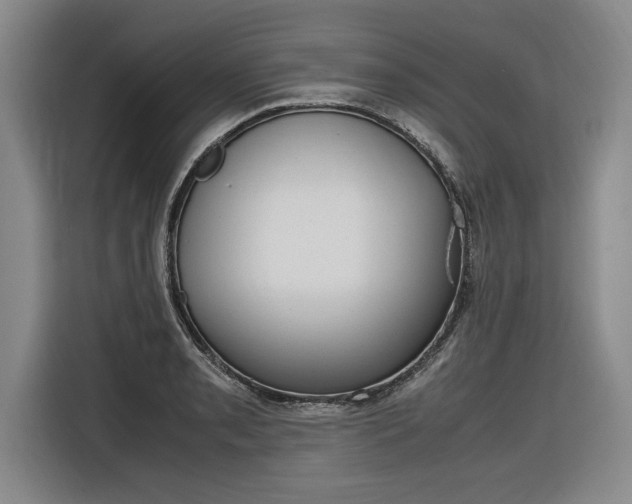 X0000116581085200912101304