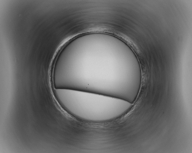 X0000116581086200912101304