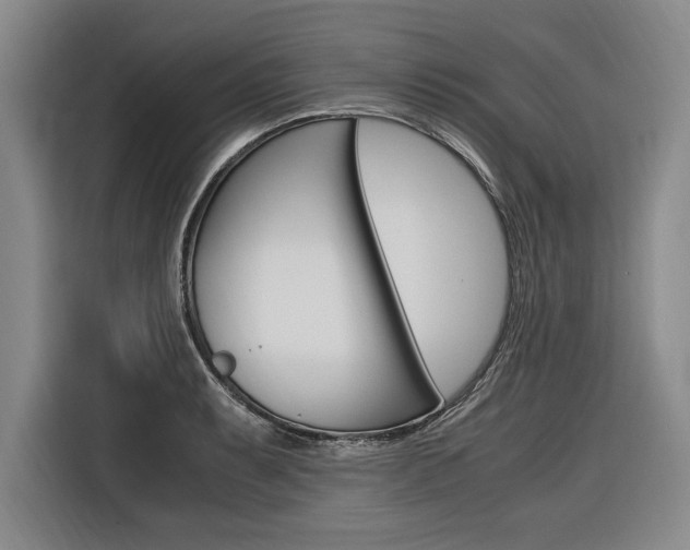 X0000116581087200912101304