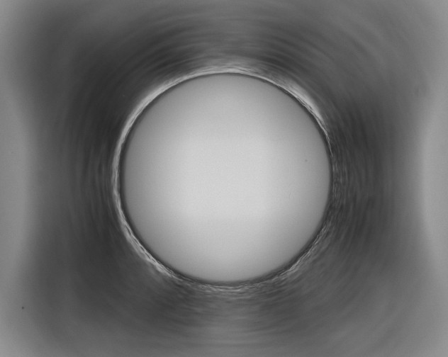 X0000116581088200912101304