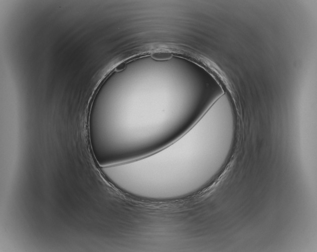 X0000116581089200912101304