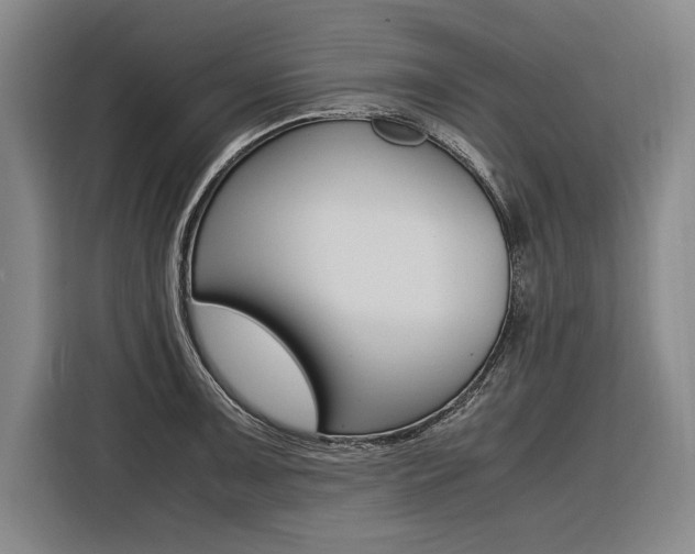 X0000116581091200912101304
