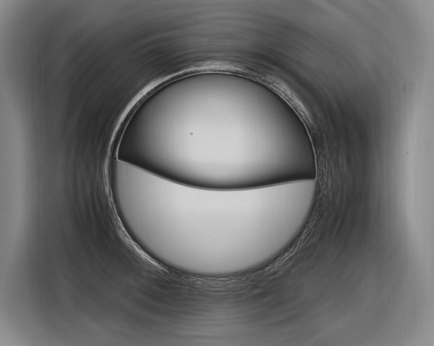 X0000116581092200912101304