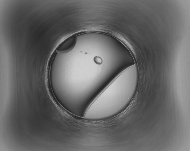 X0000116581093200912101304