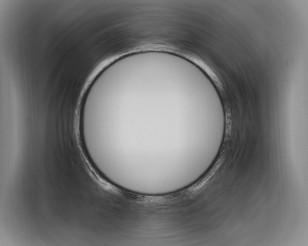 X0000116581094200912101304