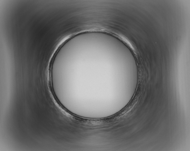 X0000116581095200912101304