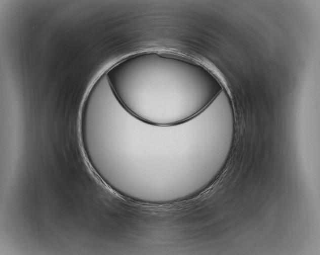 X0000116581096200912101304
