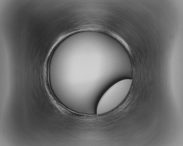 X0000116581099200912101304