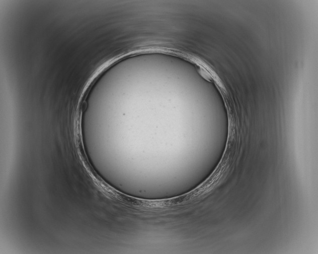X0000116581101200912101304