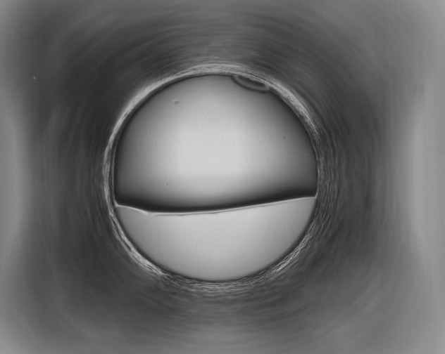 X0000116581102200912101304
