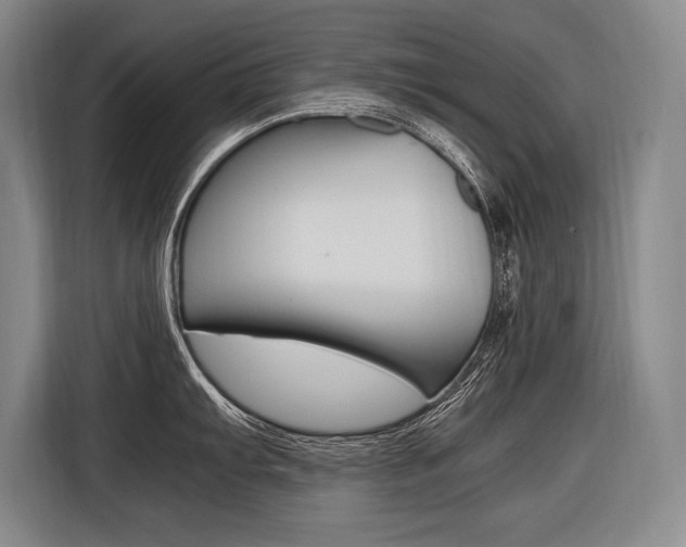 X0000116581103200912101304