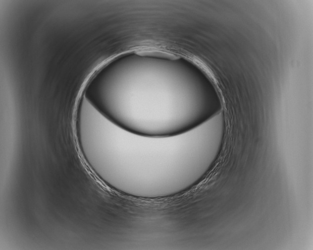 X0000116581104200912101304