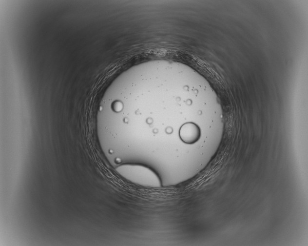 X0000116581105200912101303