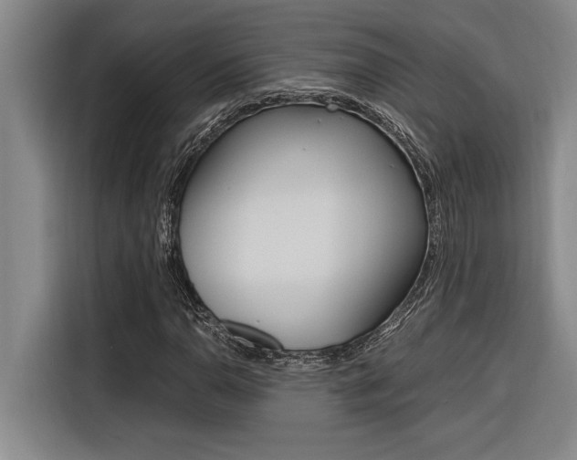 X0000116581110200912101303