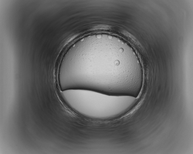 X0000116581113200912101303