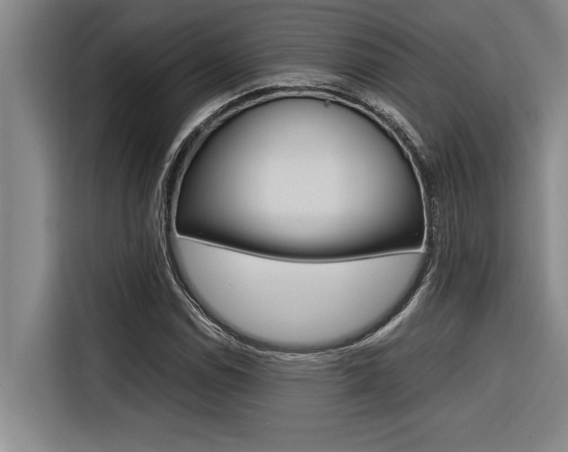 X0000116581114200912101303