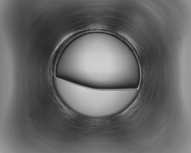 X0000116581115200912101303