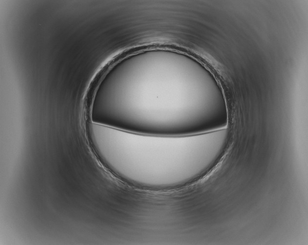X0000116581118200912101303