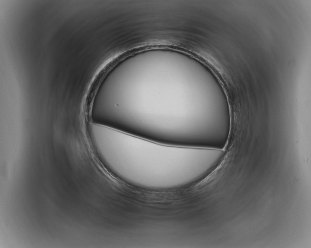 X0000116581119200912101303
