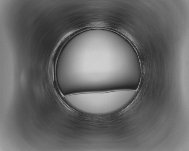X0000116581123200912101303