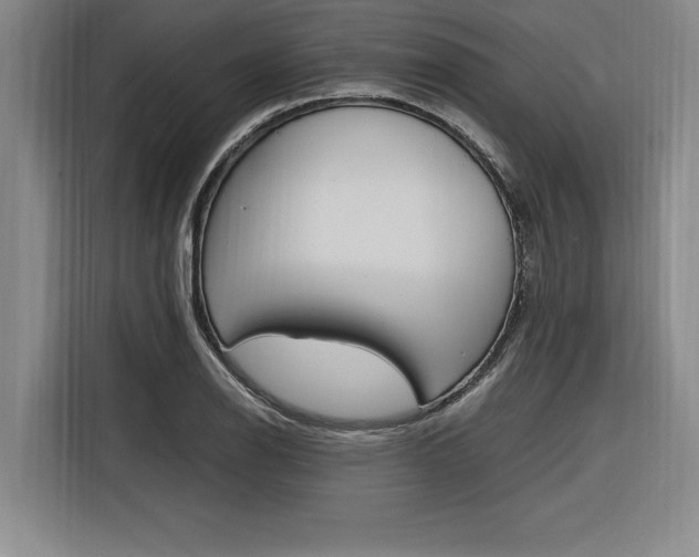 X0000116581126200912101303