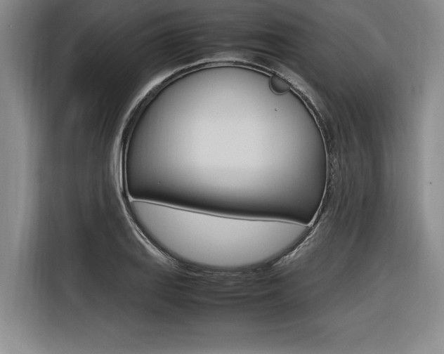 X0000116581127200912101303