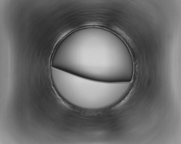 X0000116581129200912101303