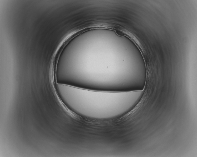 X0000116581131200912101304