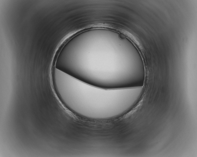 X0000116581133200912101304