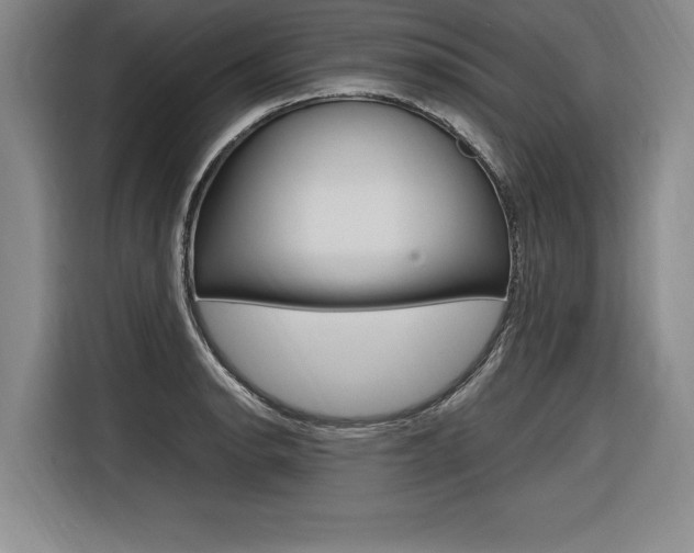 X0000116581134200912101304