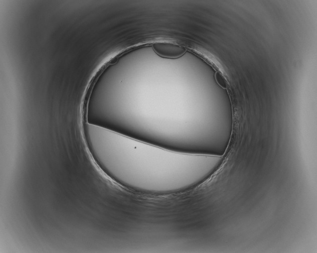 X0000116581135200912101304