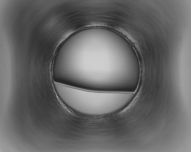 X0000116581137200912101304