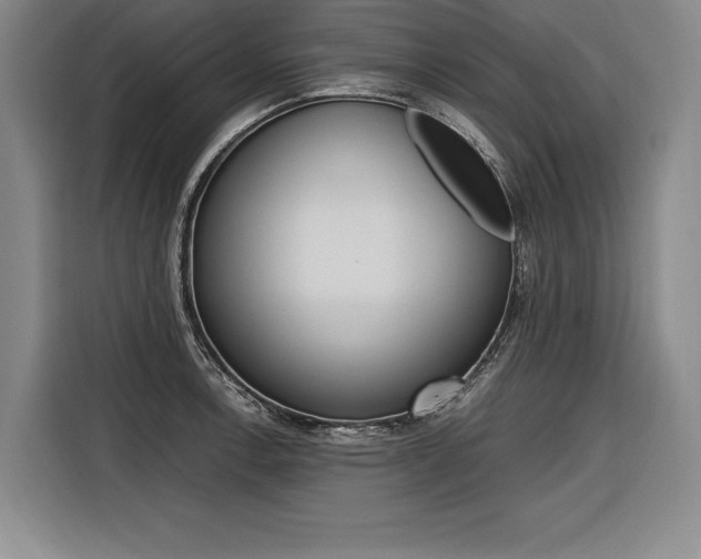 X0000116581138200912101304